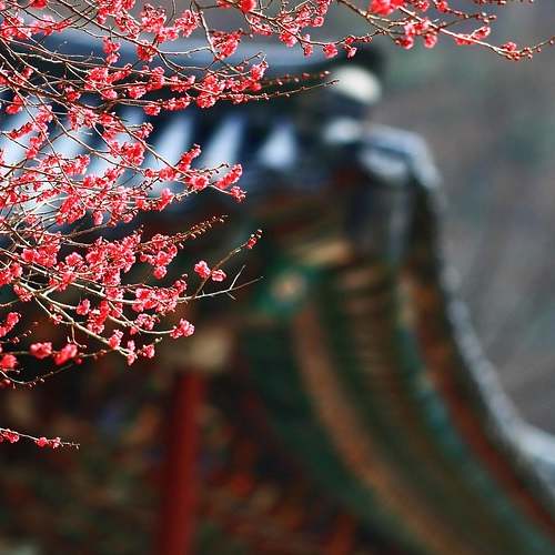 발달장애인을 위한 새로운 희망: 긴급돌봄 시범사업 안내 발달장애인을 위한 새로운 희망: 긴급돌봄 시범사업 안내