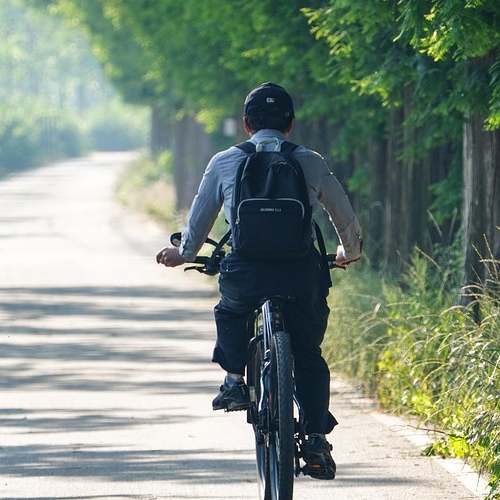 실업급여 신청을 위한 필수 요소, 이직확인서의 모든 것 실업급여 신청을 위한 필수 요소, 이직확인서의 모든 것