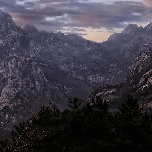 암호화폐의 모든 것: 100개 코인을 한눈에 살펴보세요!