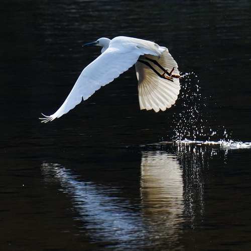 60대 은퇴 후, 내 인생의 Second Act! 유망 직업 찾기 60대 은퇴 후, 내 인생의 Second Act! 유망 직업 찾기