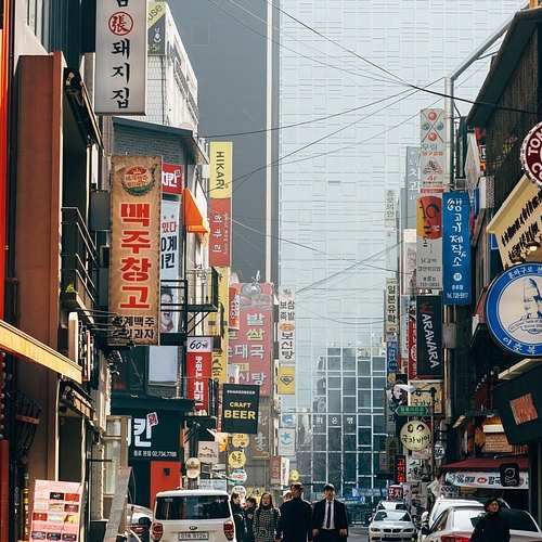 양평 세미원에서 만나는 한강의 보물, 연꽃의 천국을 여행해보세요!