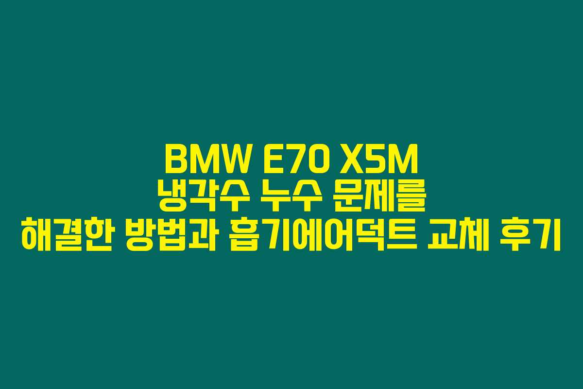 BMW E70 X5M 냉각수 누수 문제를 해결한 방법과 흡기에어덕트 교체 후기 BMW E70 X5M 냉각수 누수 문제를 해결한 방법과 흡기에어덕트 교체 후기