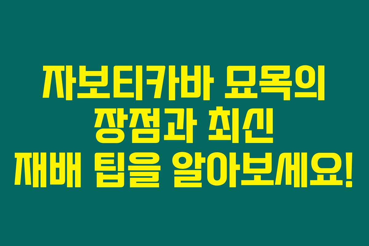 자보티카바 묘목의 장점과 최신 재배 팁을 알아보세요! 자보티카바 묘목의 장점과 최신 재배 팁을 알아보세요!