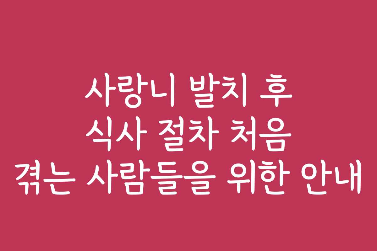 사랑니 발치 후 식사 절차 처음 겪는 사람들을 위한 안내