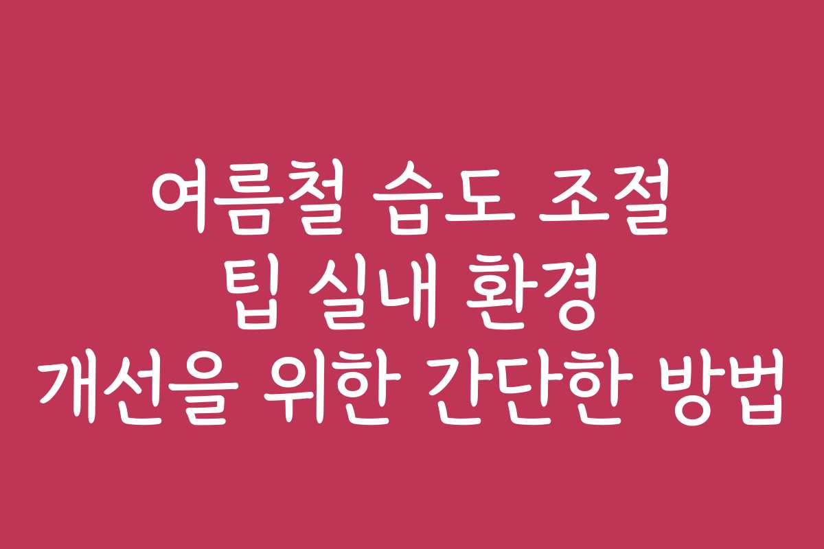 여름철 습도 조절 팁 실내 환경 개선을 위한 간단한 방법