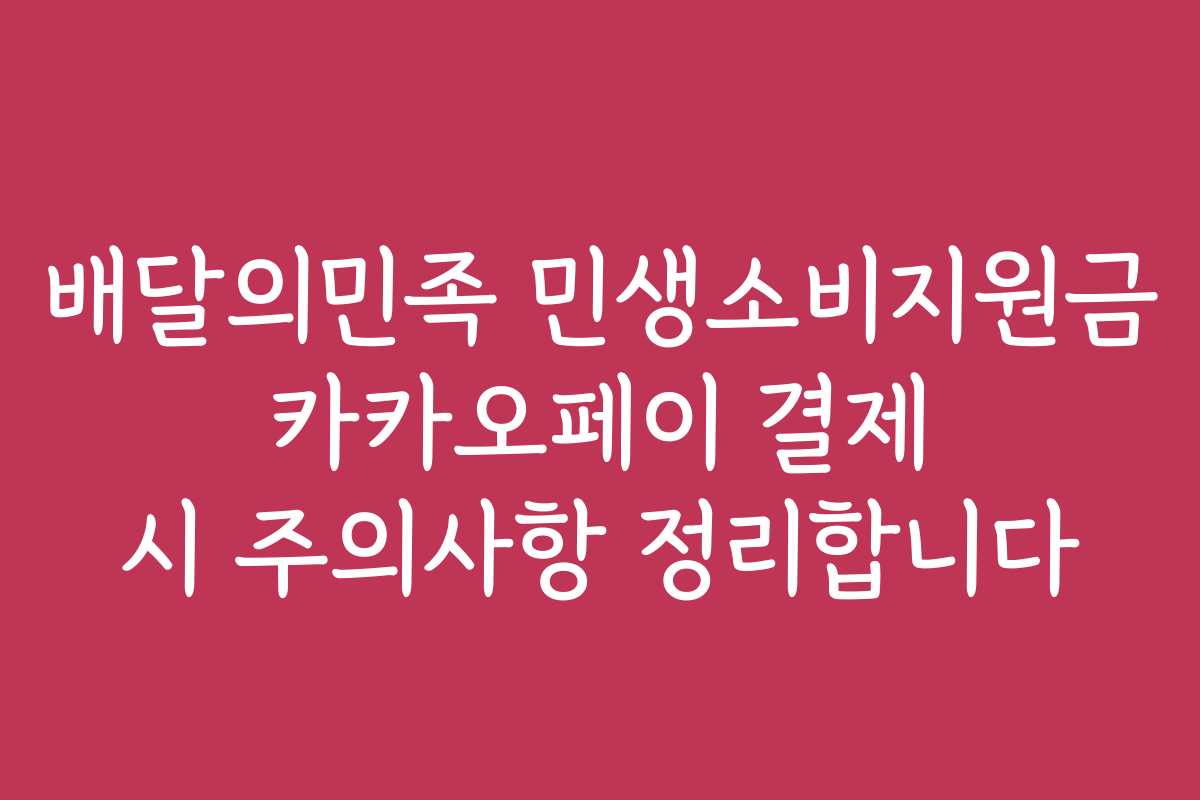 배달의민족 민생소비지원금 카카오페이 결제 시 주의사항 정리합니다