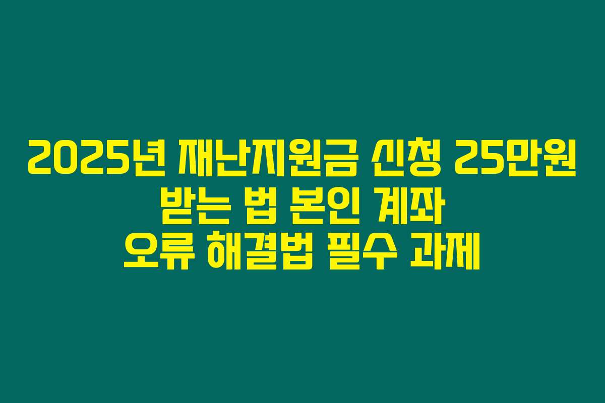 2025년 재난지원금 신청 25만원 받는 법 본인 계좌 오류 해결법 필수 과제