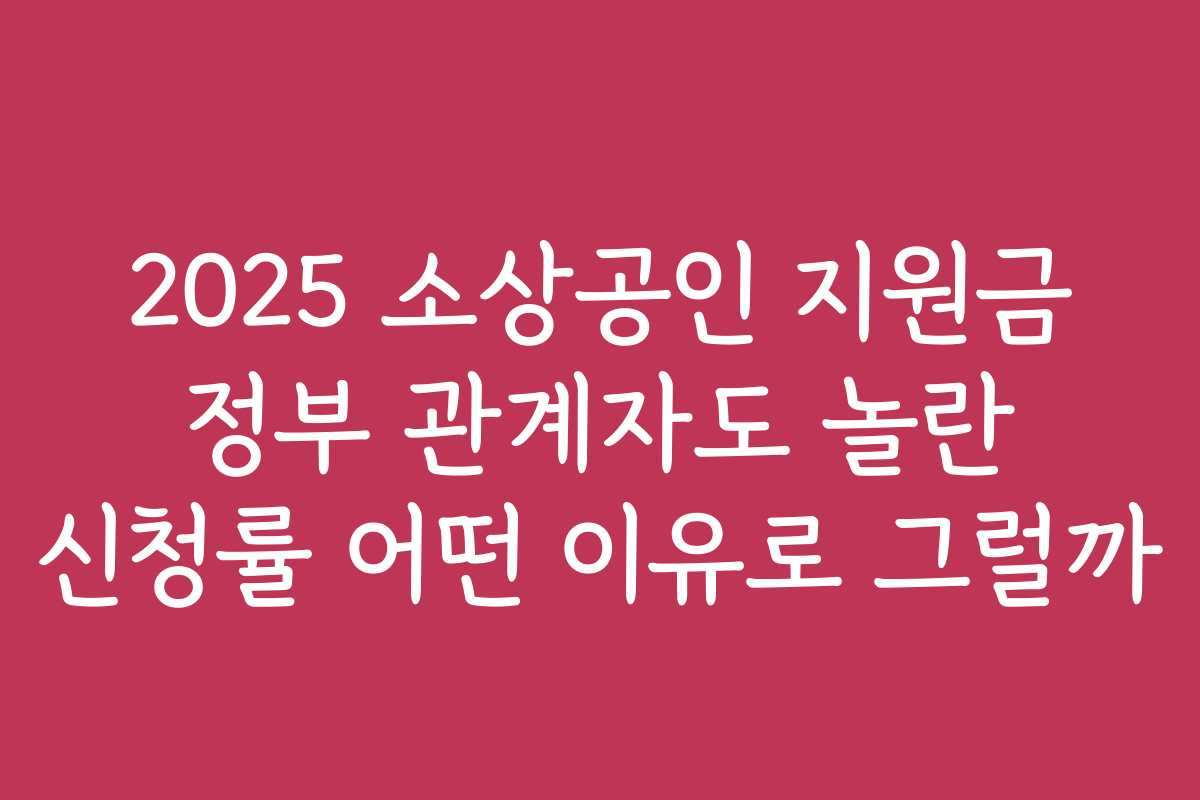 2025 소상공인 지원금 정부 관계자도 놀란 신청률 어떤 이유로 그럴까 2025 소상공인 지원금 정부 관계자도 놀란 신청률 어떤 이유로 그럴까