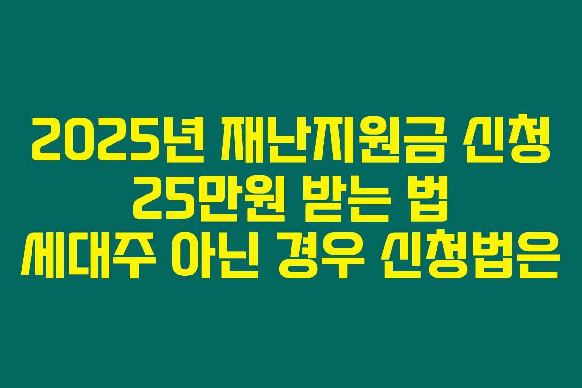 2025년 재난지원금 신청 25만원 받는 법 세대주 아닌 경우 신청법은