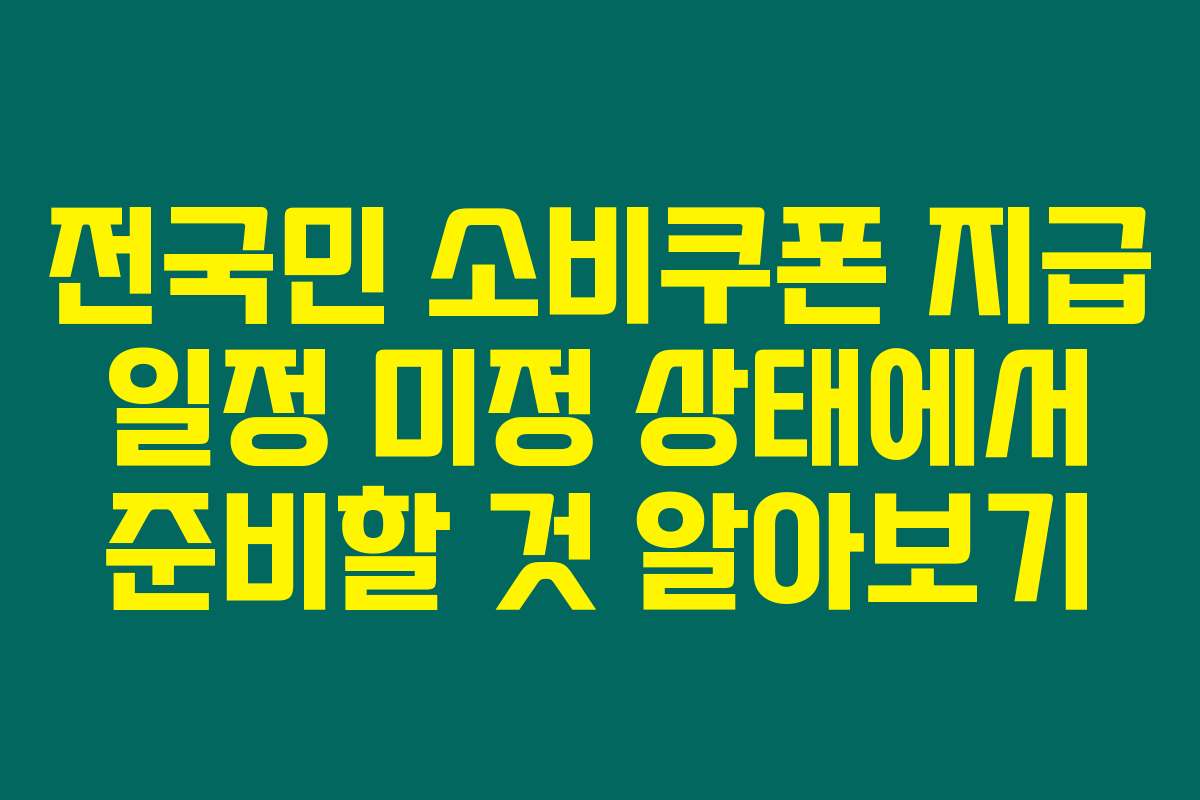 전국민 소비쿠폰 지급 일정 미정 상태에서 준비할 것 알아보기