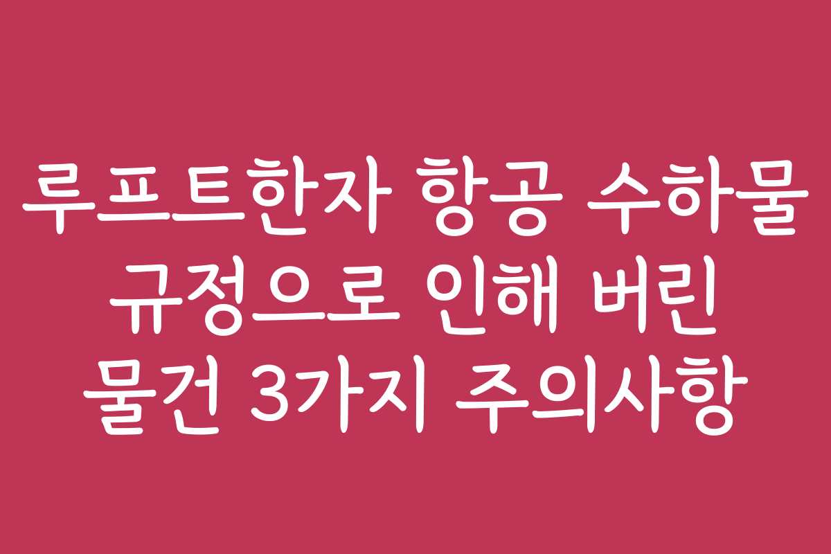 루프트한자 항공 수하물 규정으로 인해 버린 물건 3가지 주의사항