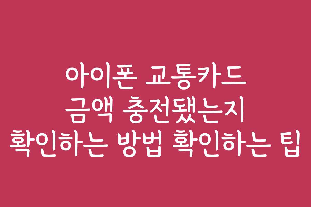 아이폰 교통카드 금액 충전됐는지 확인하는 방법 확인하는 팁