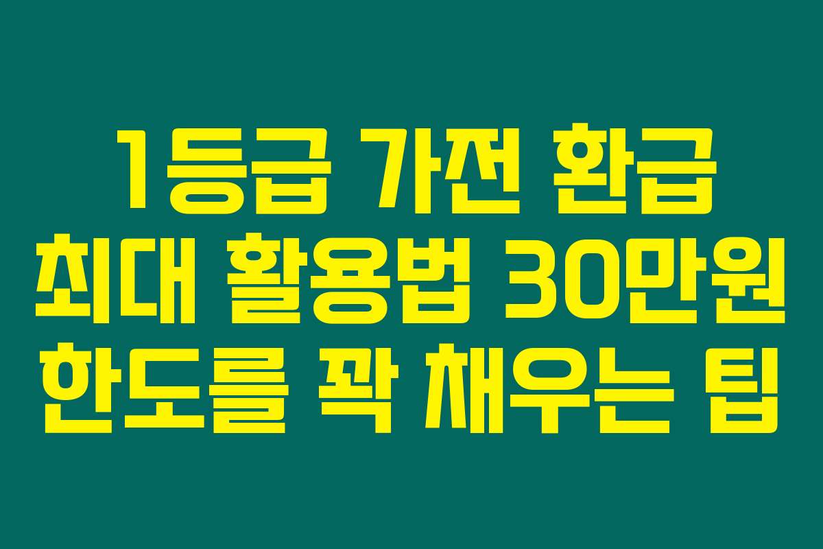 1등급 가전 환급 최대 활용법 30만원 한도를 꽉 채우는 팁