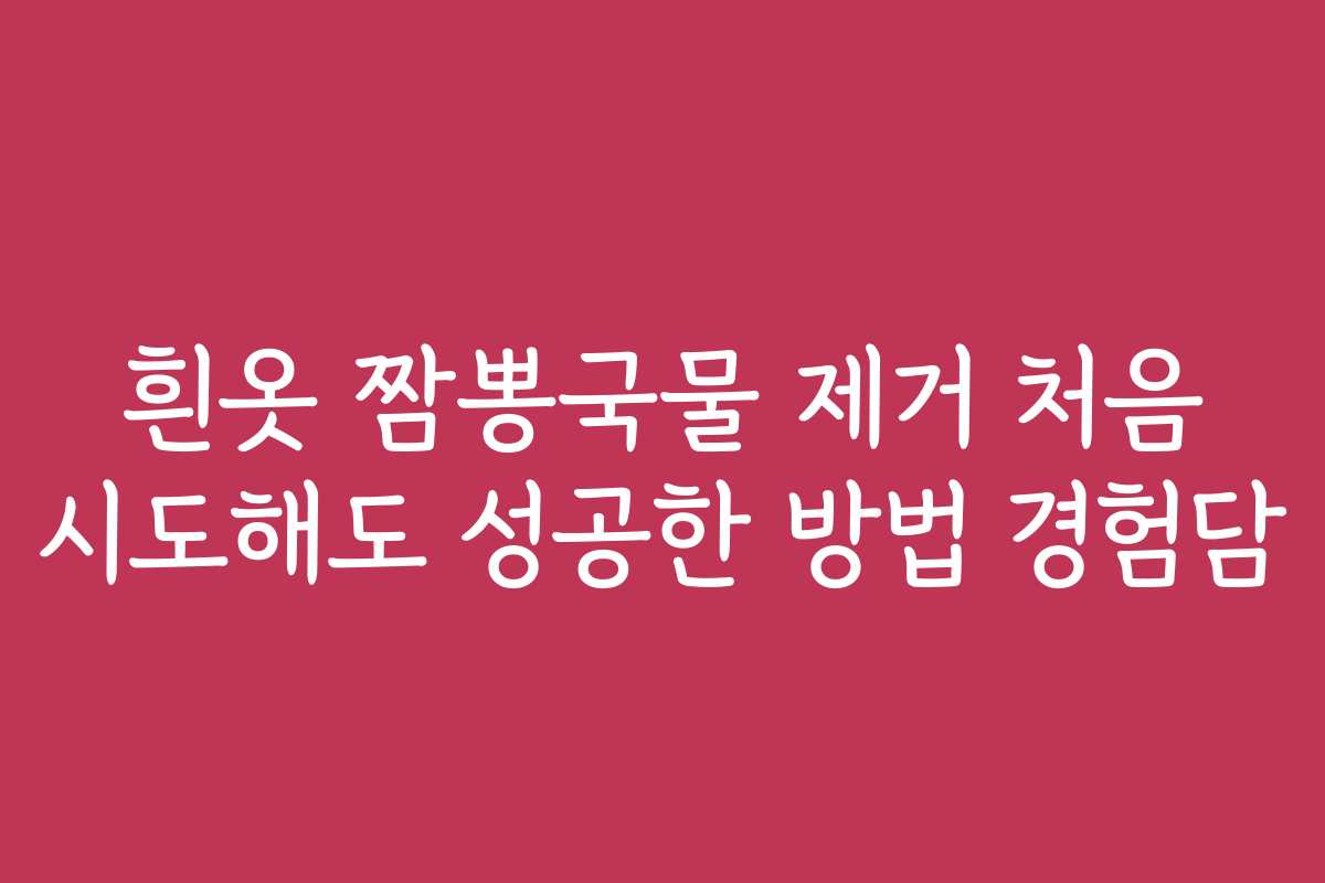 흰옷 짬뽕국물 제거 처음 시도해도 성공한 방법 경험담