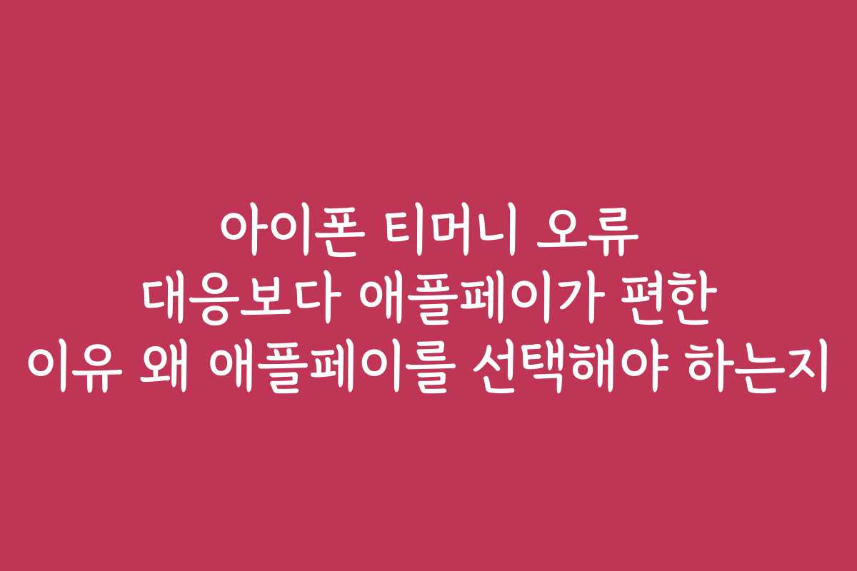 아이폰 티머니 오류 대응보다 애플페이가 편한 이유 왜 애플페이를 선택해야 하는지
