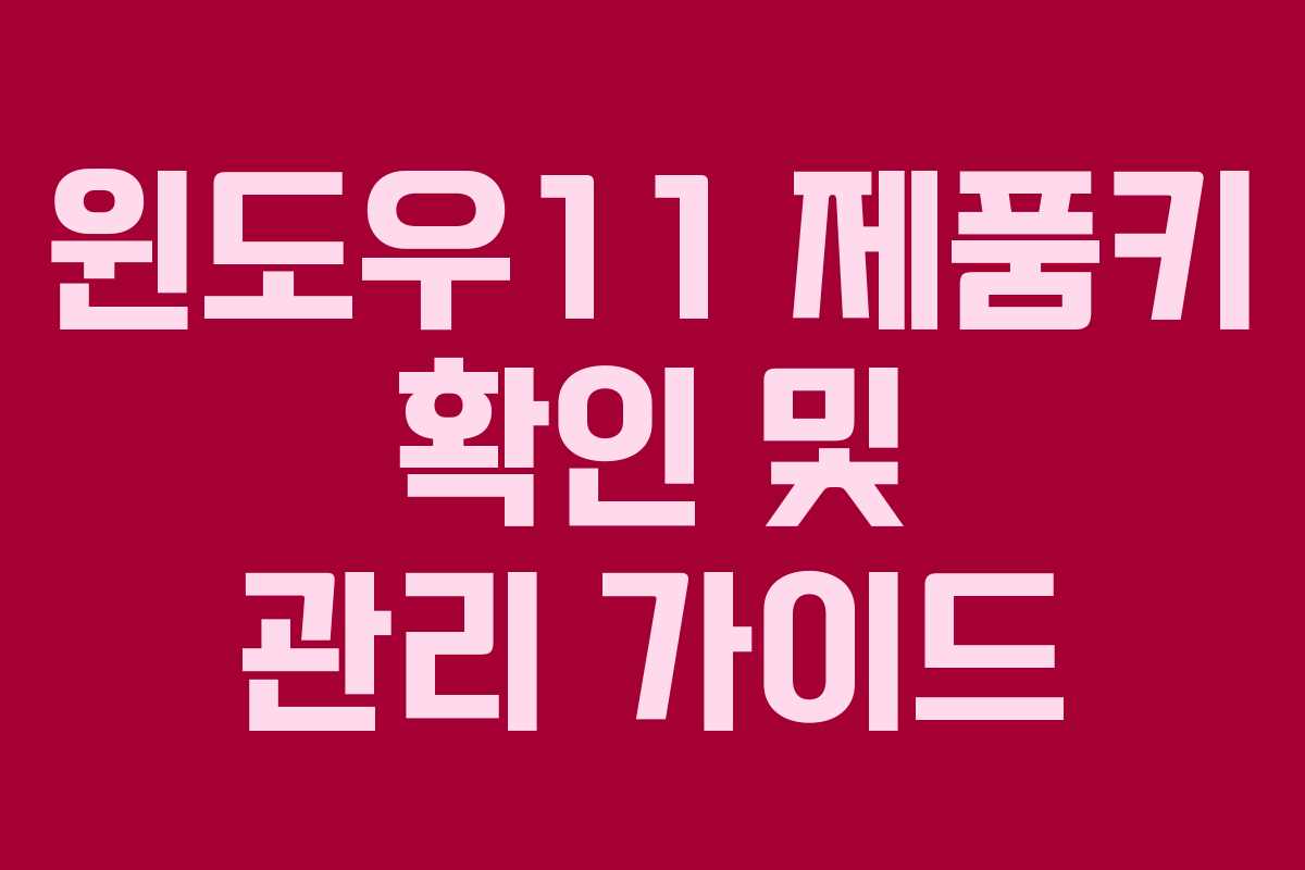 윈도우11 제품키 확인 및 관리 가이드 윈도우11 제품키 확인 및 관리 가이드