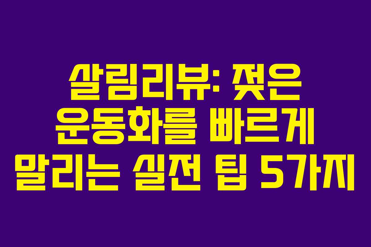 살림리뷰: 젖은 운동화를 빠르게 말리는 실전 팁 5가지 살림리뷰: 젖은 운동화를 빠르게 말리는 실전 팁 5가지