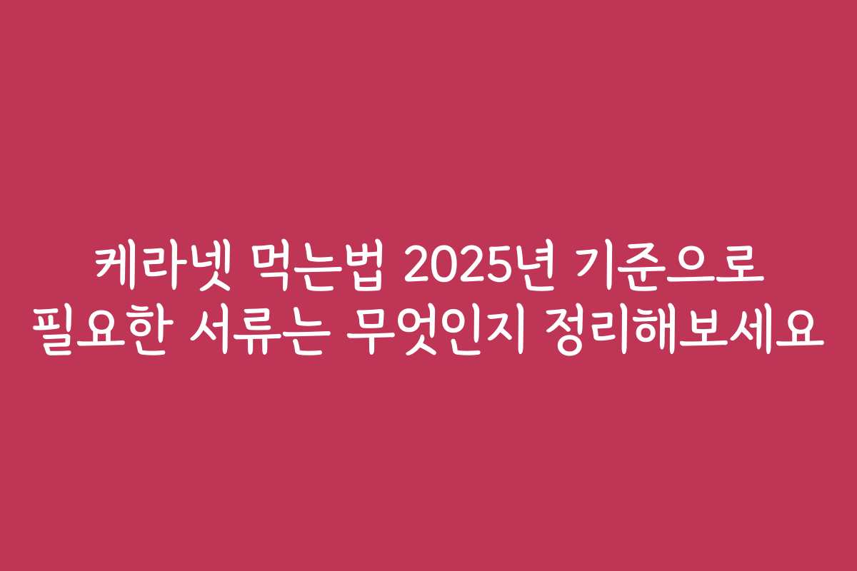 케라넷 먹는법 2025년 기준으로 필요한 서류는 무엇인지 정리해보세요