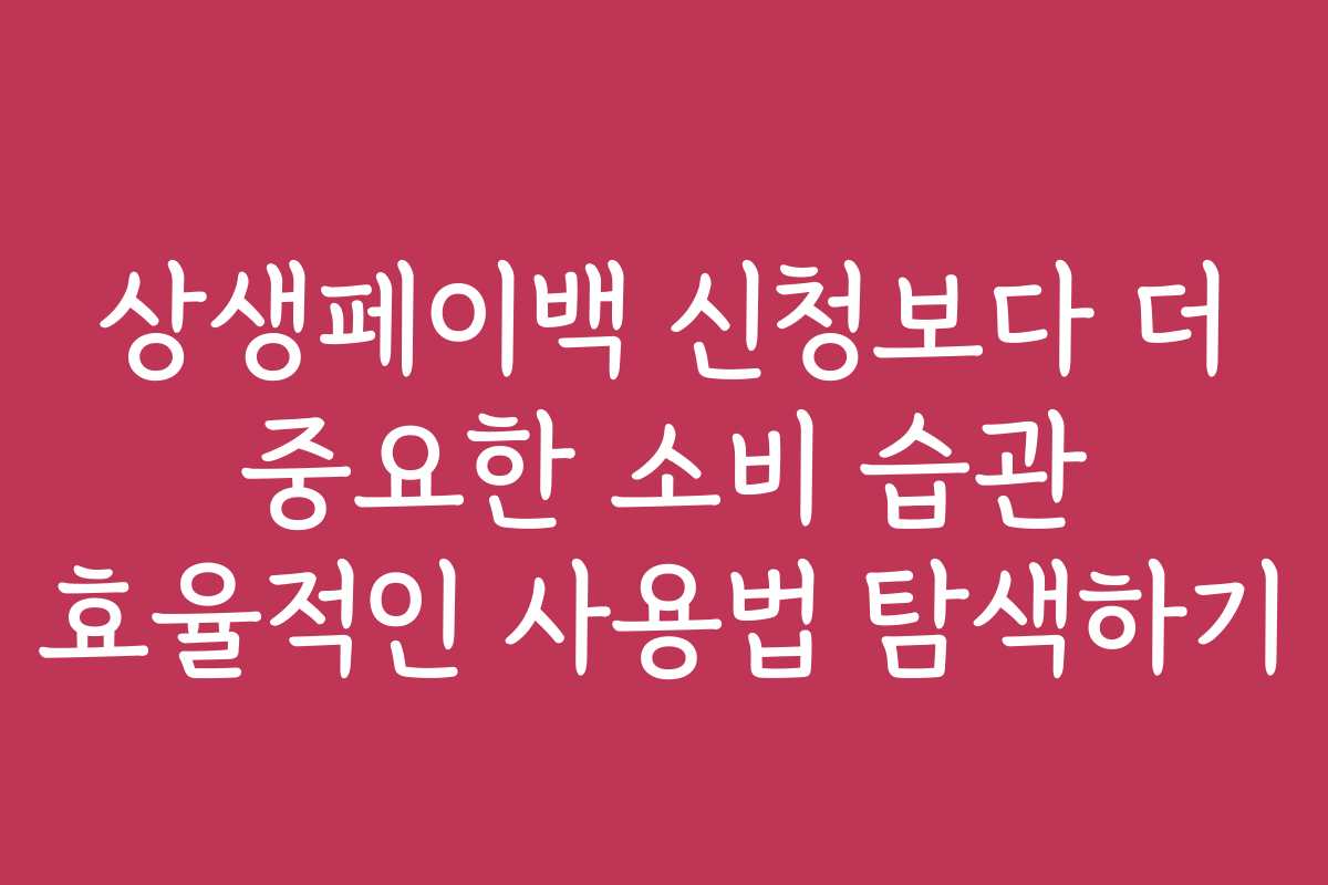 상생페이백 신청보다 더 중요한 소비 습관 효율적인 사용법 탐색하기 상생페이백 신청보다 더 중요한 소비 습관 효율적인 사용법 탐색하기
