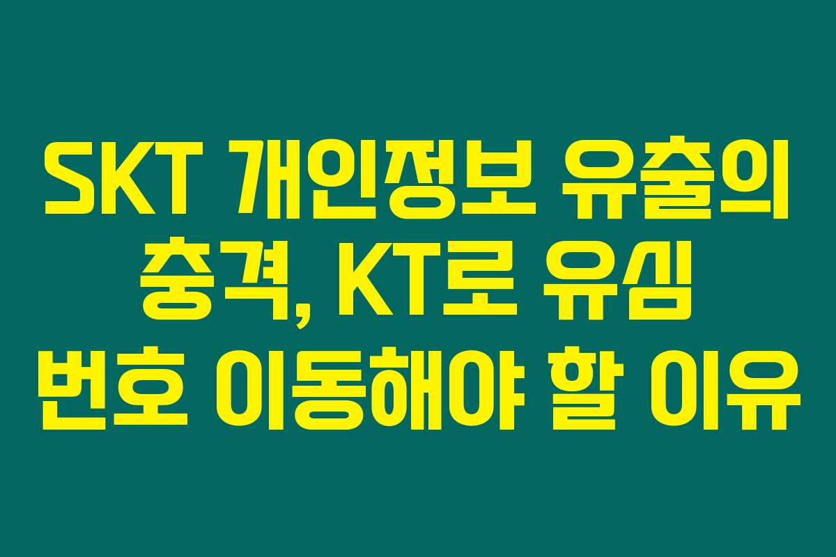 SKT 개인정보 유출의 충격, KT로 유심 번호 이동해야 할 이유 SKT 개인정보 유출의 충격, KT로 유심 번호 이동해야 할 이유