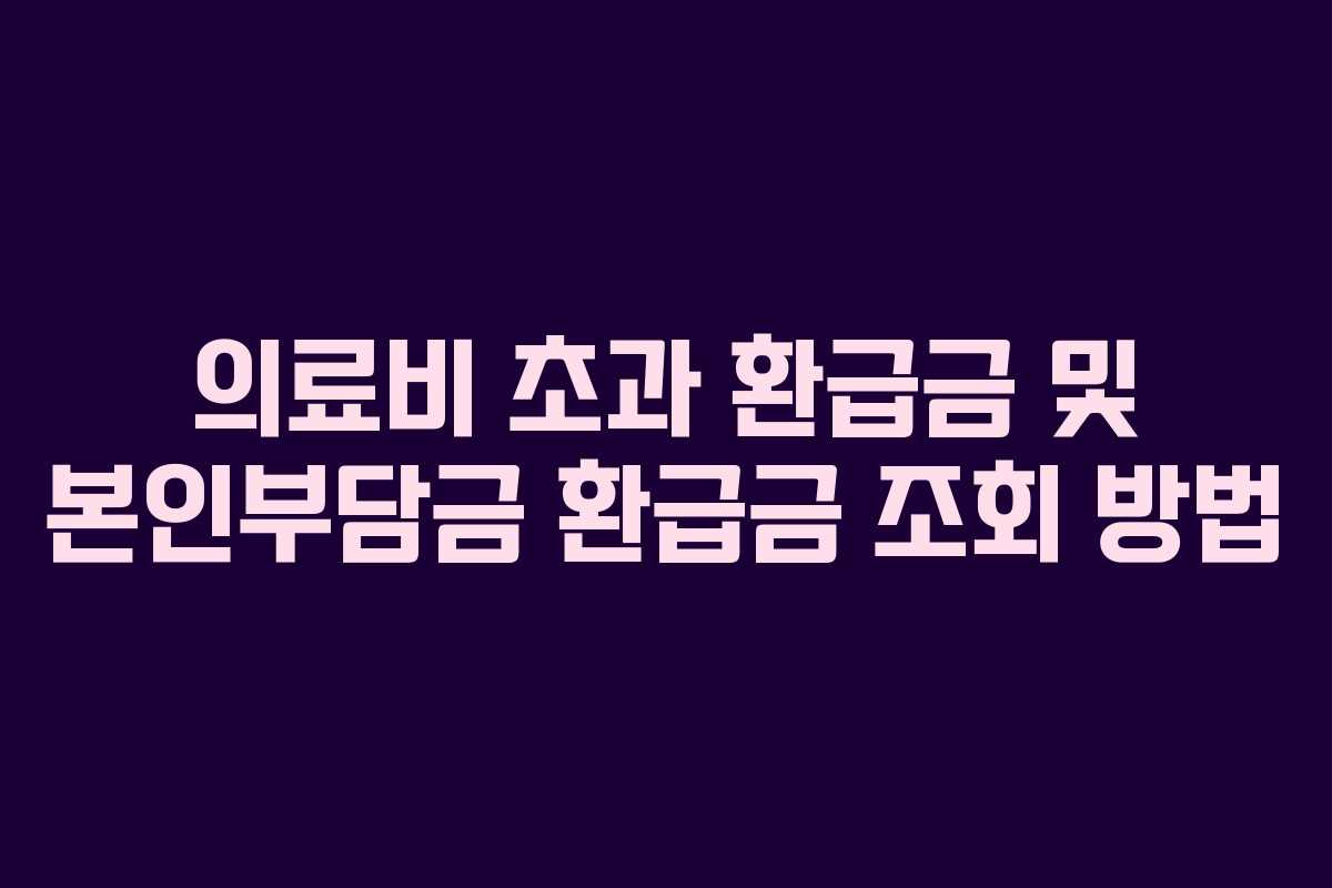 의료비 초과 환급금 및 본인부담금 환급금 조회 방법