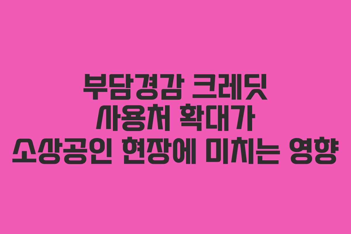 부담경감 크레딧 사용처 확대가 소상공인 현장에 미치는 영향
