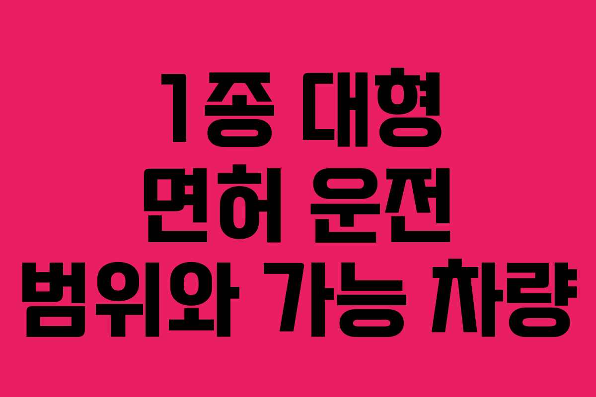 1종 대형 면허 운전 범위와 가능 차량