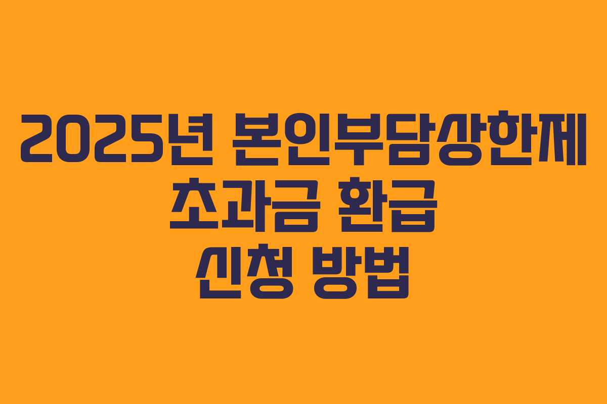 2025년 본인부담상한제 초과금 환급 신청 방법 2025년 본인부담상한제 초과금 환급 신청 방법