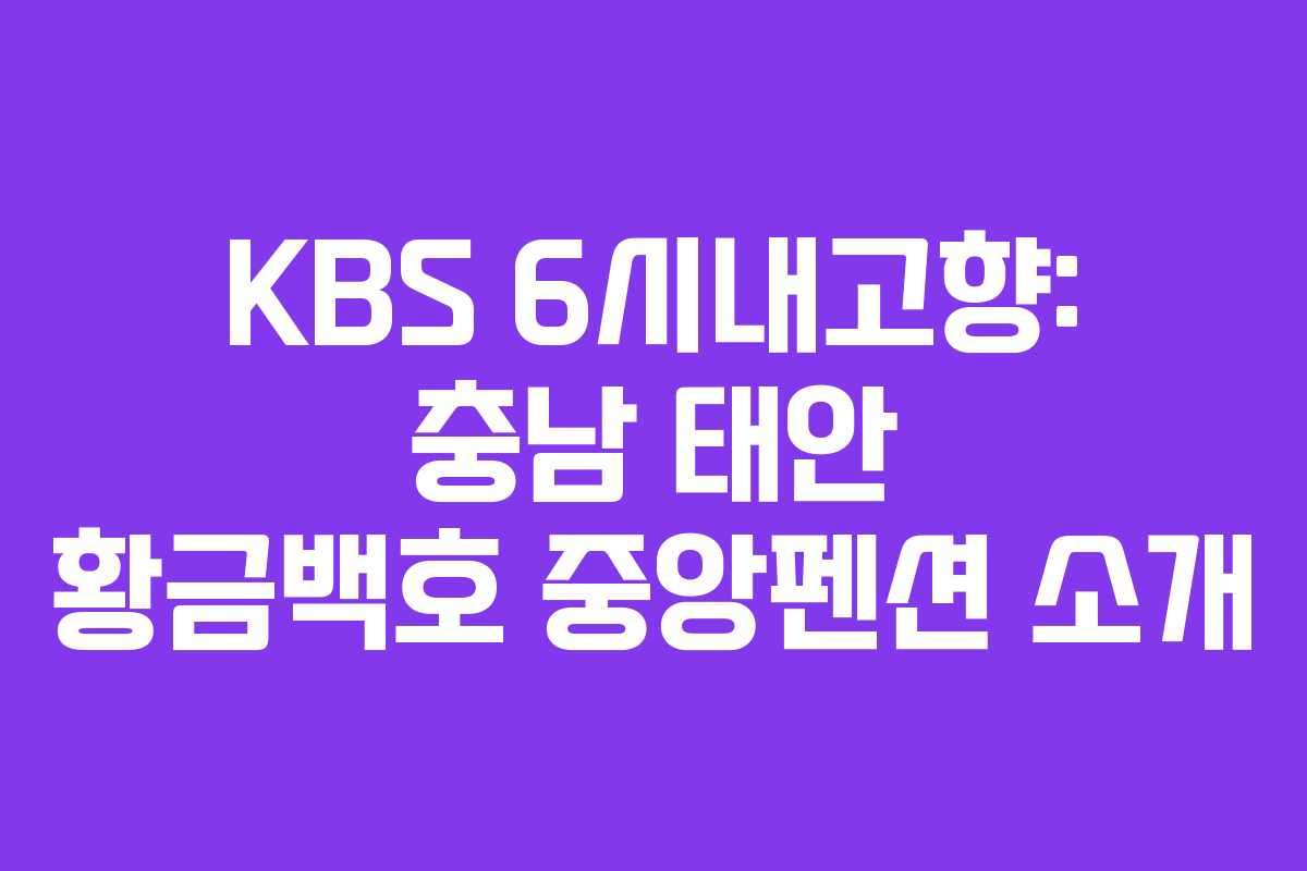 KBS 6시내고향: 충남 태안 황금백호 중앙펜션 소개