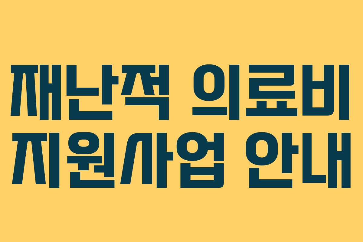 재난적 의료비 지원사업 안내