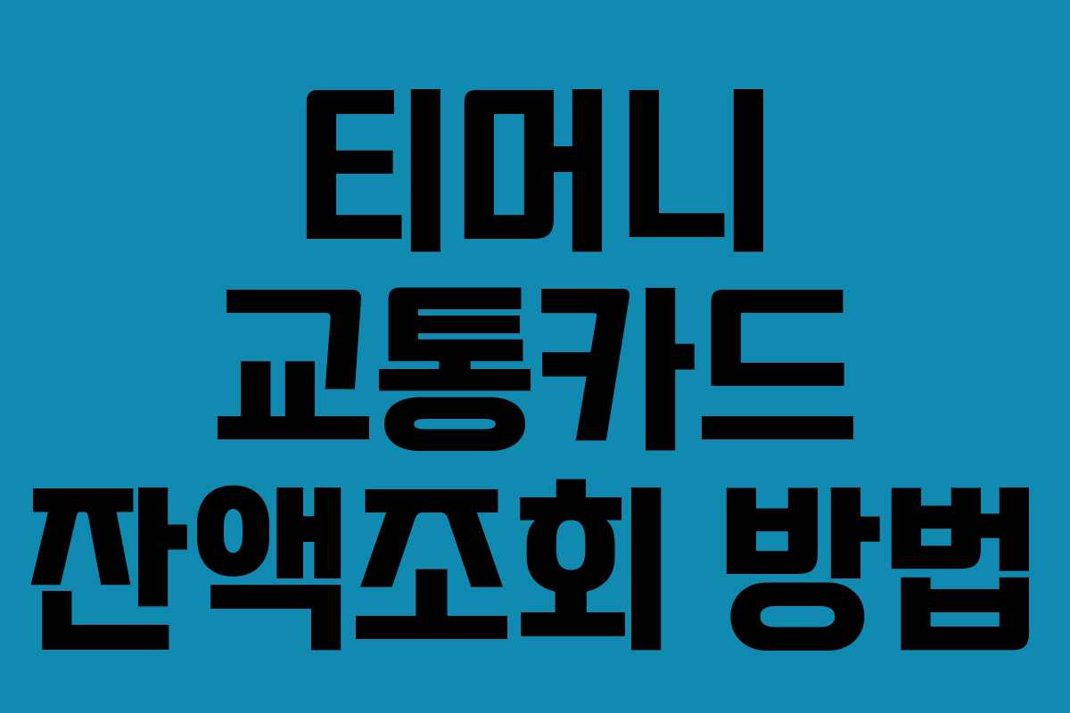 티머니 교통카드 잔액조회 방법 티머니 교통카드 잔액조회 방법