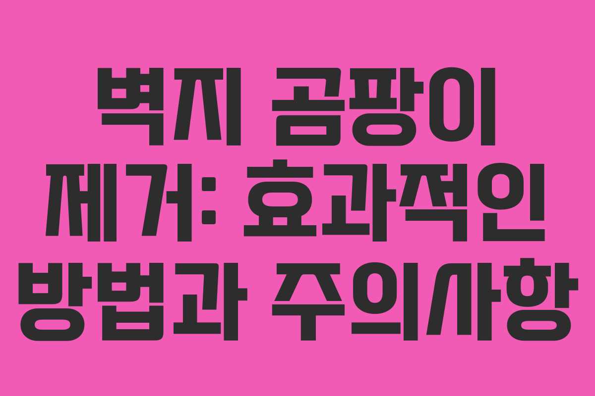 벽지 곰팡이 제거: 효과적인 방법과 주의사항 벽지 곰팡이 제거: 효과적인 방법과 주의사항
