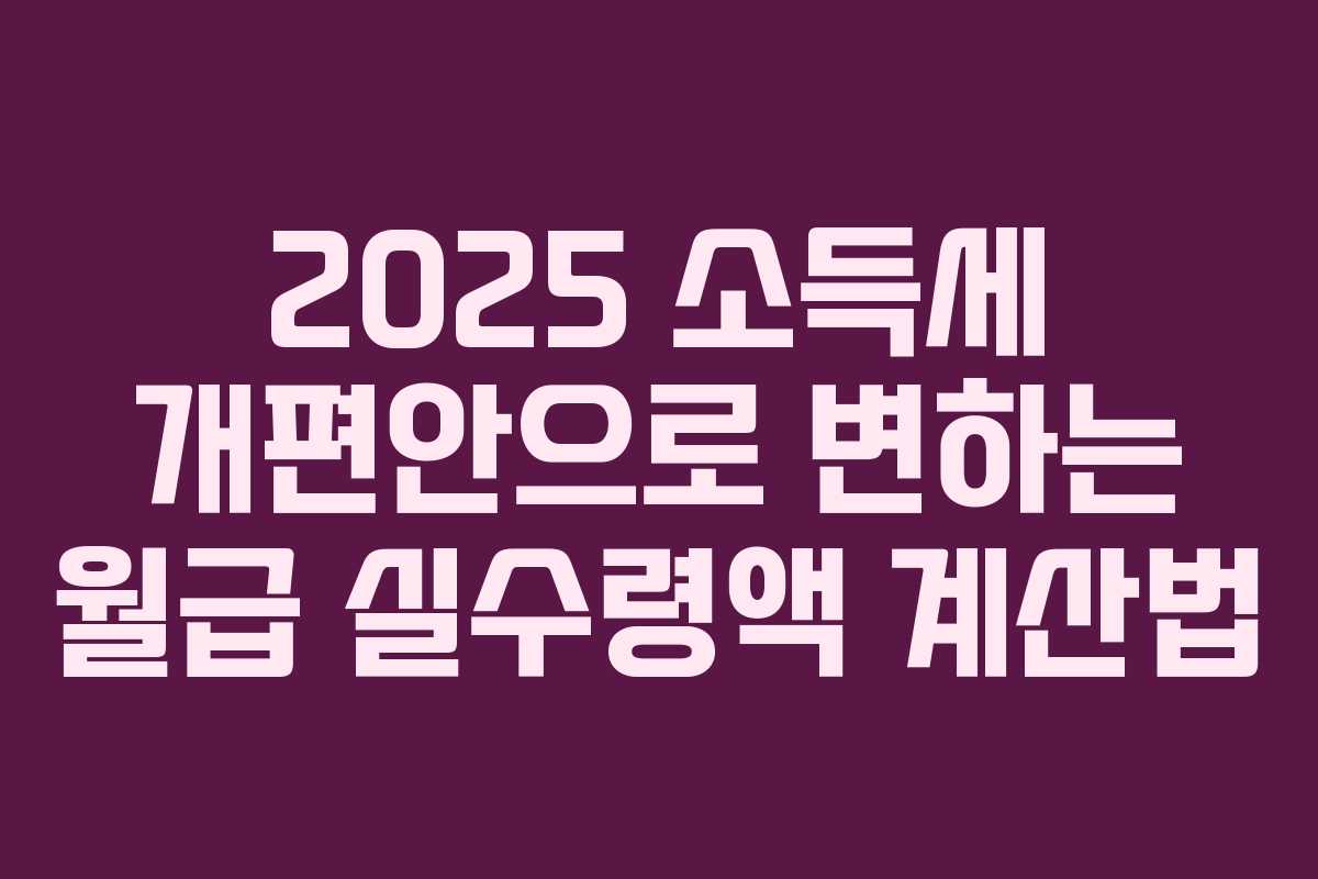 2025 소득세 개편안으로 변하는 월급 실수령액 계산법 2025 소득세 개편안으로 변하는 월급 실수령액 계산법