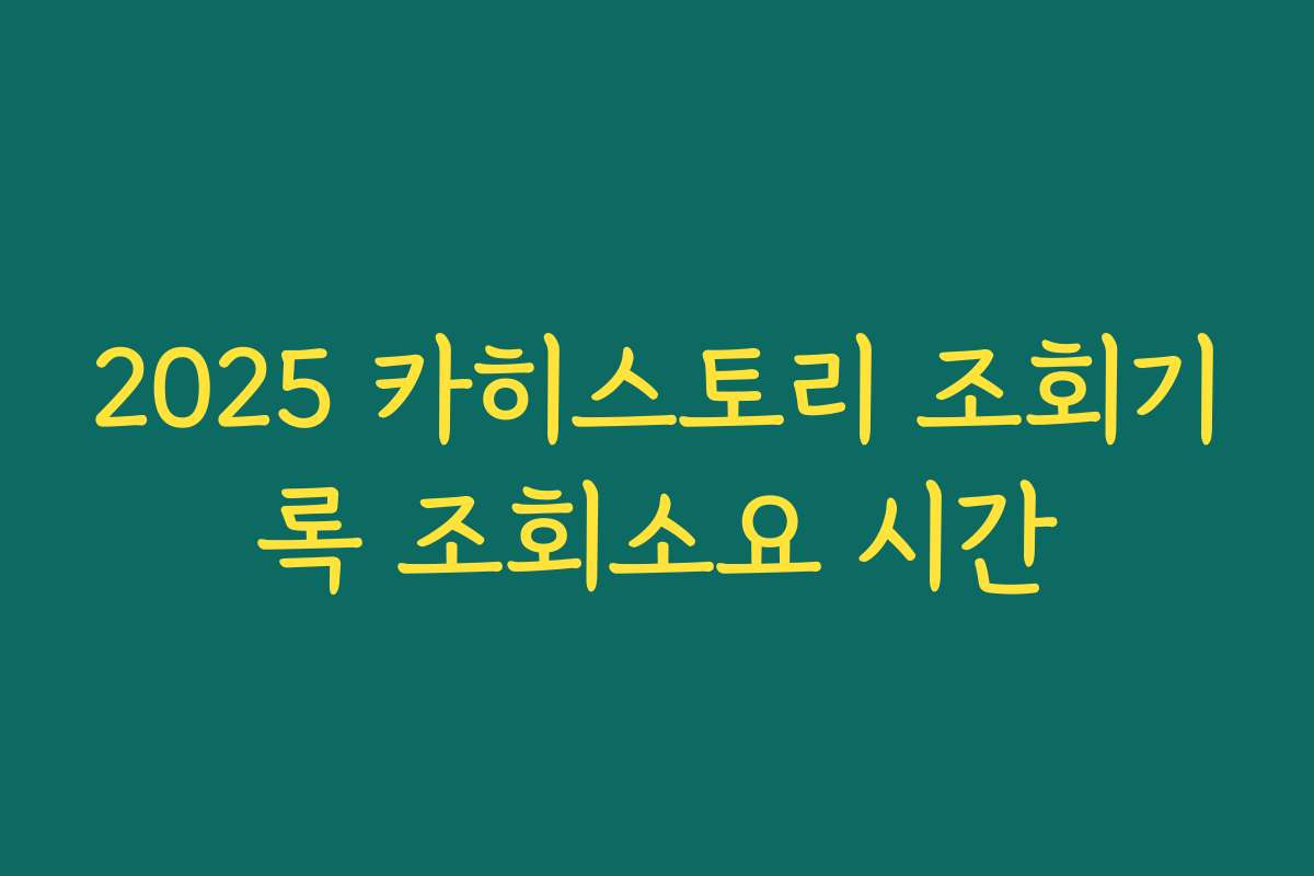 2025 카히스토리 조회기록 조회소요 시간 2025 카히스토리 조회기록 조회소요 시간