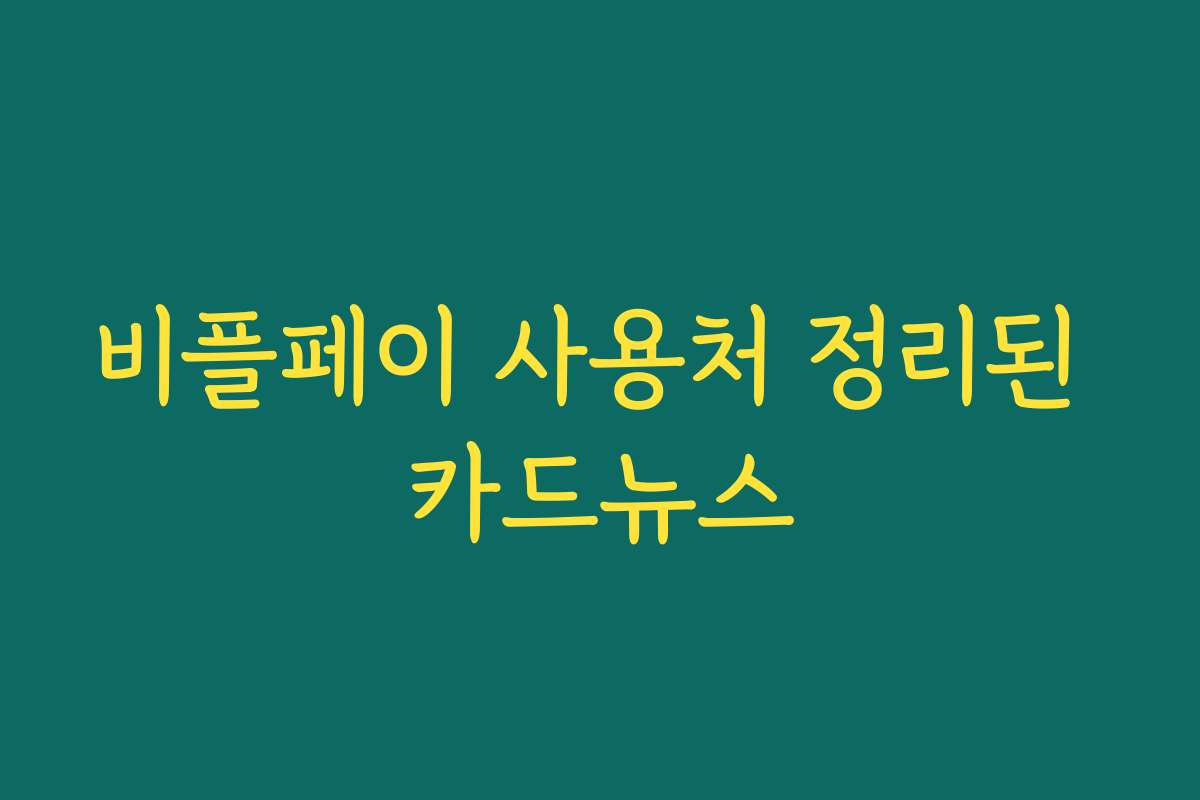 비플페이 사용처 정리된 카드뉴스