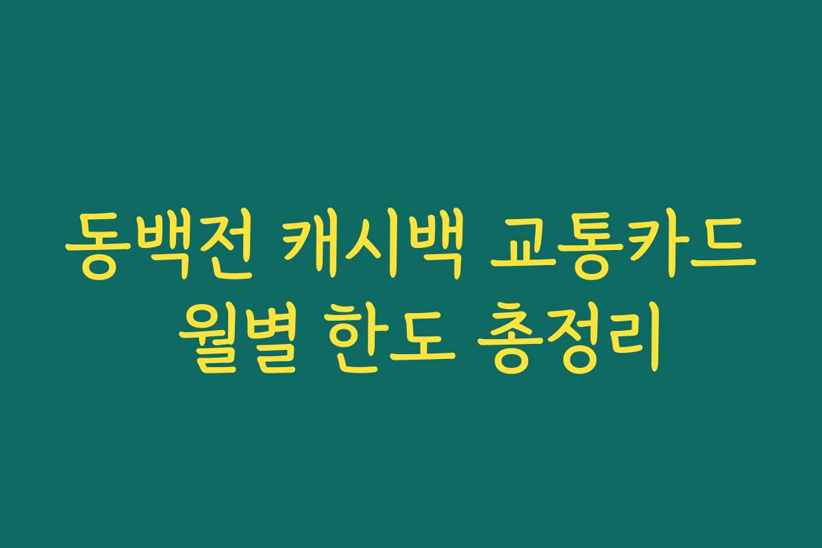 동백전 캐시백 교통카드 월별 한도 총정리 동백전 캐시백 교통카드 월별 한도 총정리