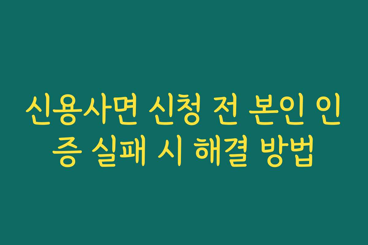 신용사면 신청 전 본인 인증 실패 시 해결 방법