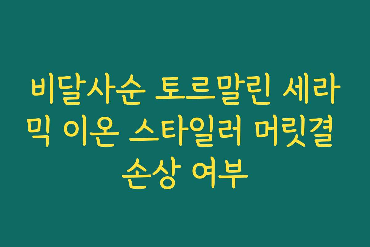 비달사순 토르말린 세라믹 이온 스타일러 머릿결 손상 여부 비달사순 토르말린 세라믹 이온 스타일러 머릿결 손상 여부