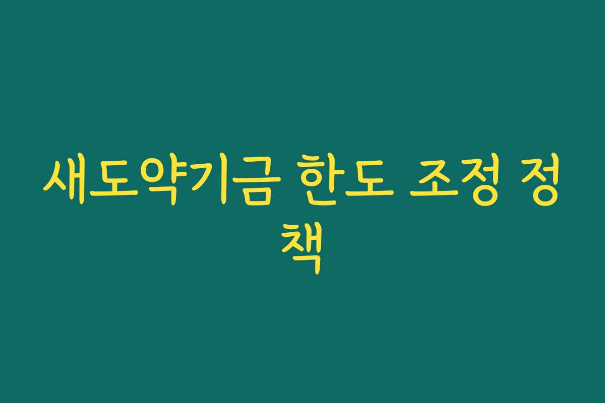 새도약기금 한도 조정 정책