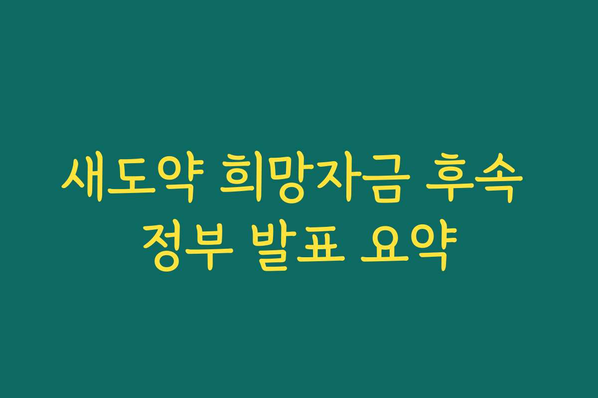 새도약 희망자금 후속 정부 발표 요약