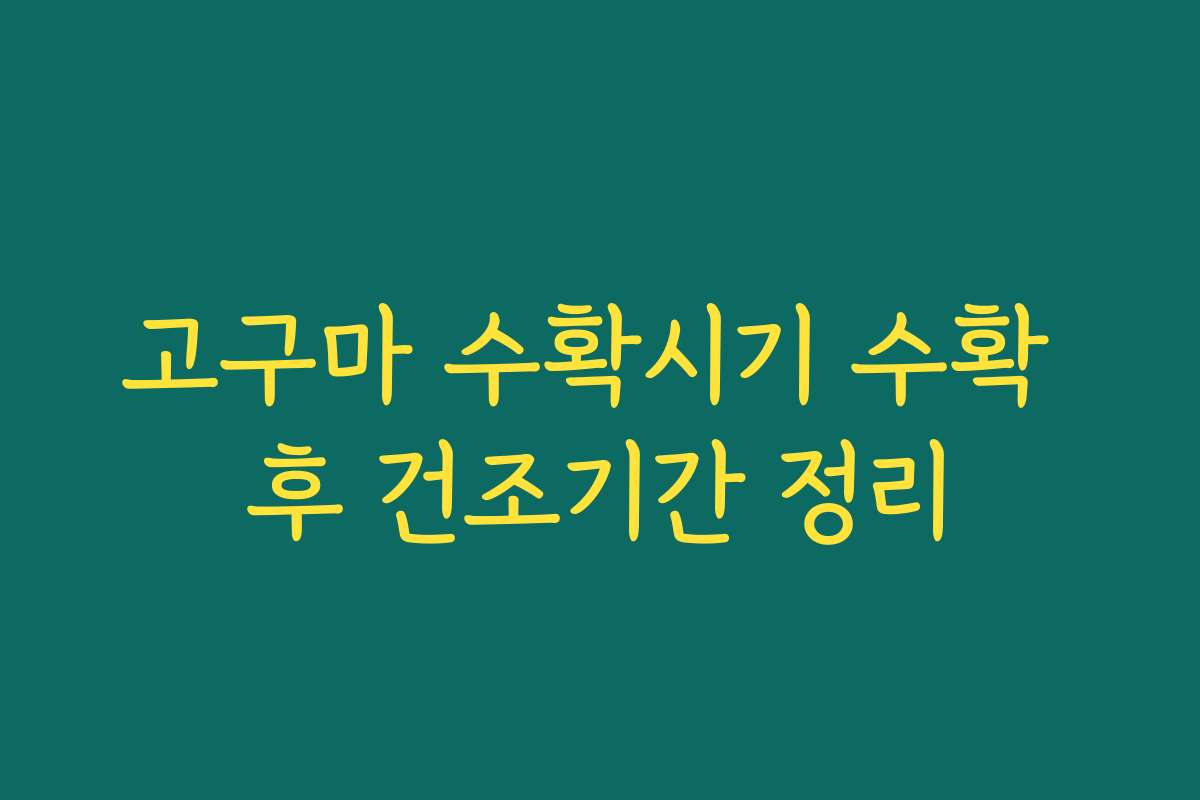 고구마 수확시기 수확 후 건조기간 정리