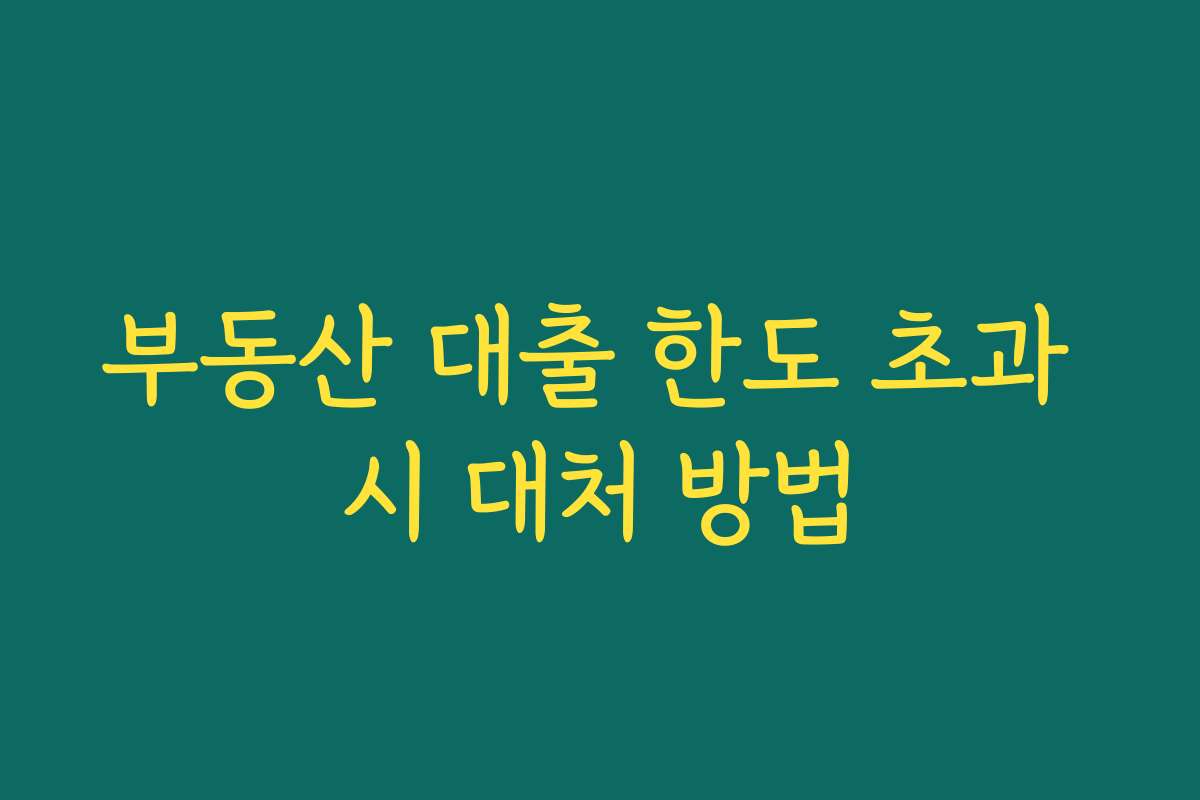 부동산 대출 한도 초과 시 대처 방법