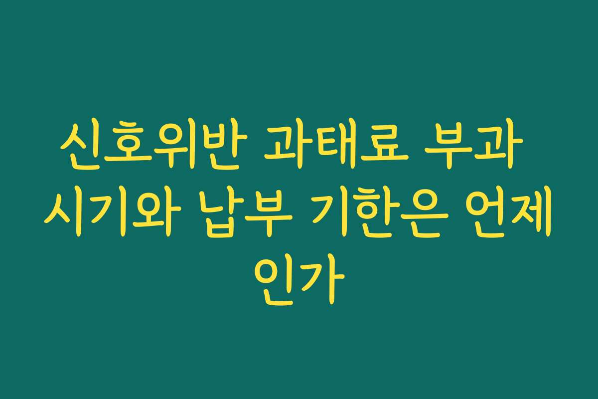 신호위반 과태료 부과 시기와 납부 기한은 언제인가