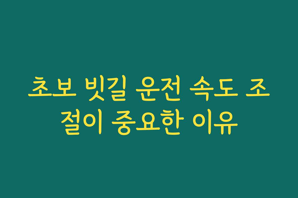 초보 빗길 운전 속도 조절이 중요한 이유