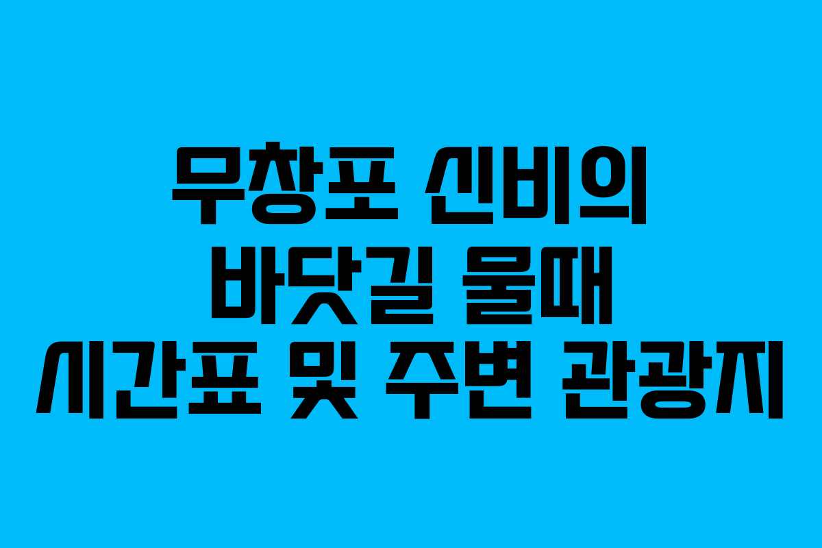 무창포 신비의 바닷길 물때 시간표 및 주변 관광지 무창포 신비의 바닷길 물때 시간표 및 주변 관광지