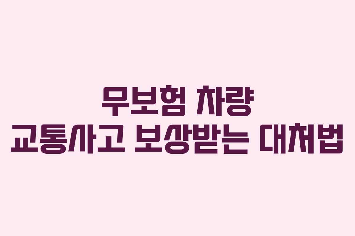 무보험 차량 교통사고 보상받는 대처법 무보험 차량 교통사고 보상받는 대처법