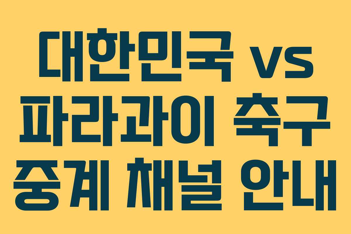 대한민국 vs 파라과이 축구 중계 채널 안내 대한민국 vs 파라과이 축구 중계 채널 안내