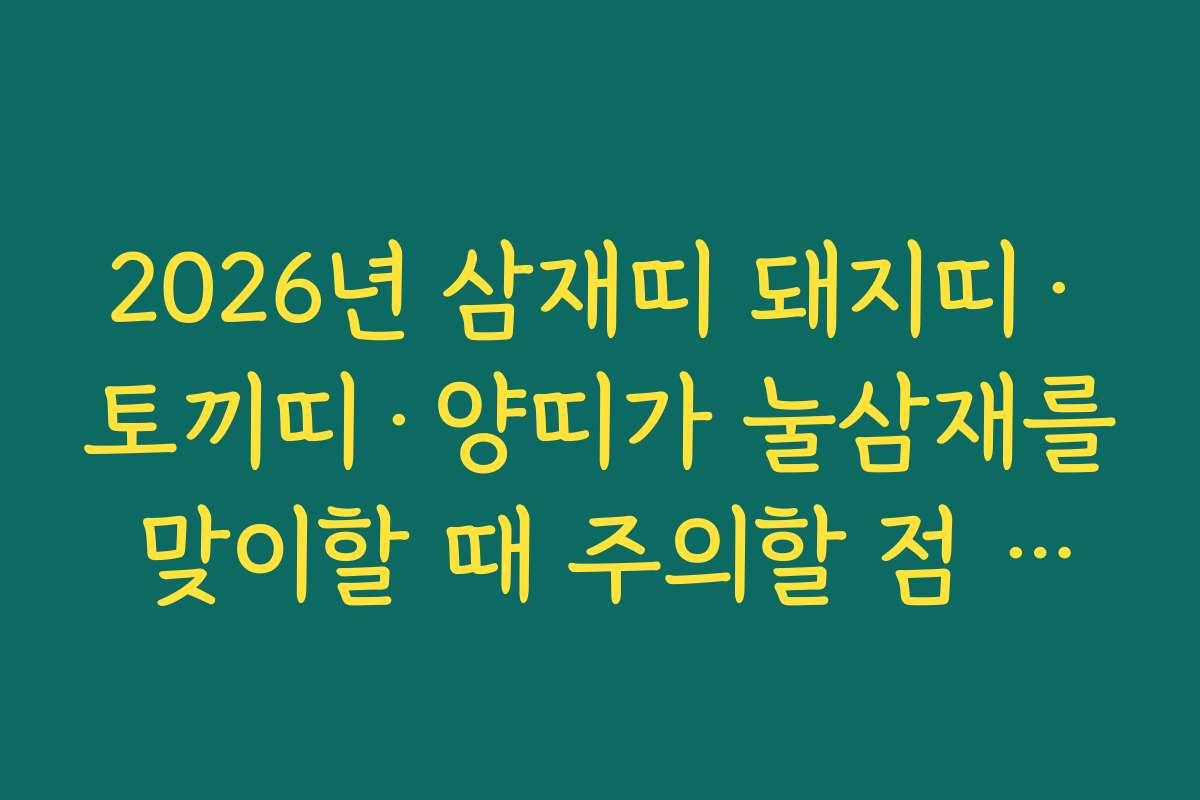 2026년 삼재띠 돼지띠·토끼띠·양띠가 눌삼재를 맞이할 때 주의할 점 정리