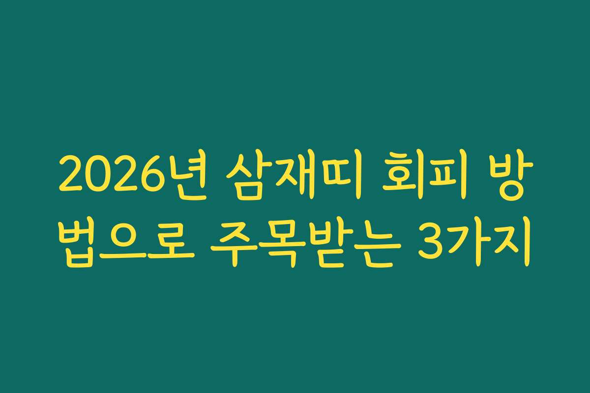 2026년 삼재띠 회피 방법으로 주목받는 3가지