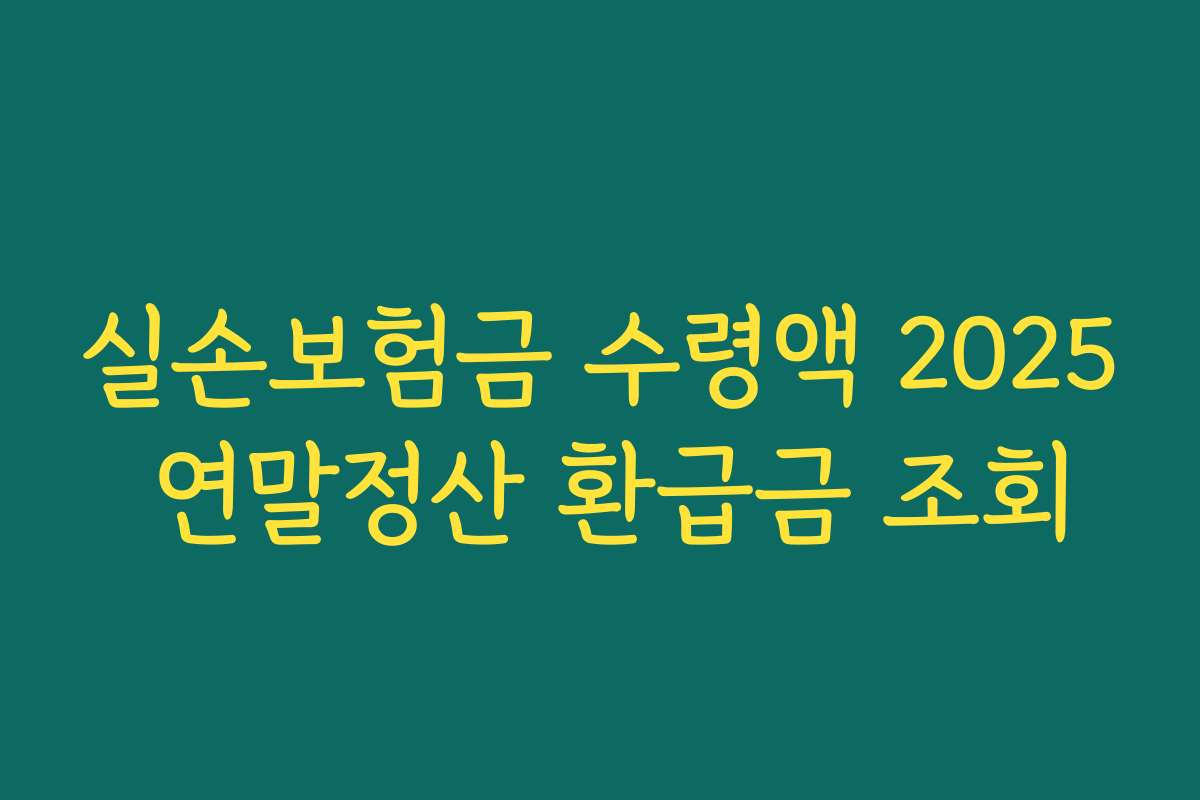실손보험금 수령액 2025 연말정산 환급금 조회